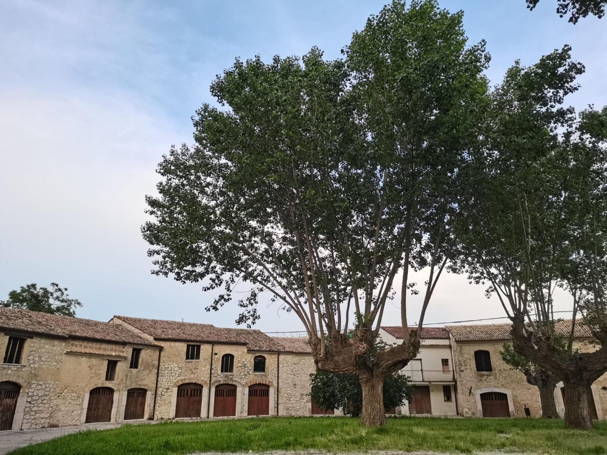 Domus Lineker Apartamento Venafro Exterior foto